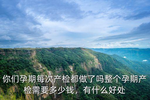 你們孕期每次產(chǎn)檢都做了嗎整個孕期產(chǎn)檢需要多少錢，有什么好處