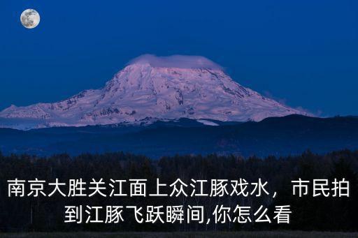 南京江豚有多少,南京江邊驚現(xiàn)抱舉江豚照