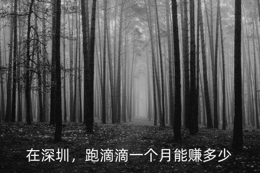 在深圳，跑滴滴一個月能賺多少