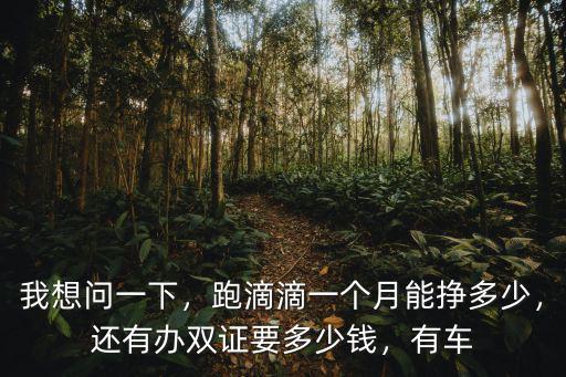我想問(wèn)一下，跑滴滴一個(gè)月能掙多少，還有辦雙證要多少錢(qián)，有車