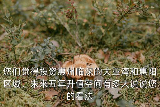 您們覺得投資惠州臨深的大亞灣和惠陽區(qū)域，未來五年升值空間有多大說說您的看法