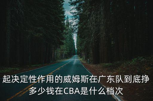 起決定性作用的威姆斯在廣東隊到底掙多少錢在CBA是什么檔次