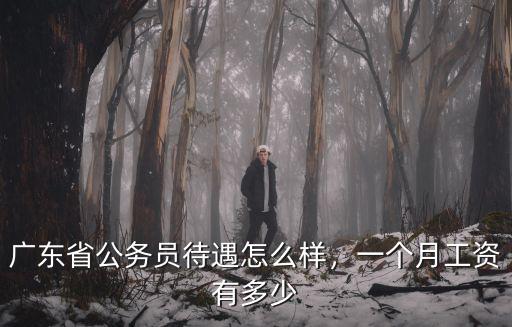 廣東氣體工資一般多少,在廣州打工一個月工資有多少
