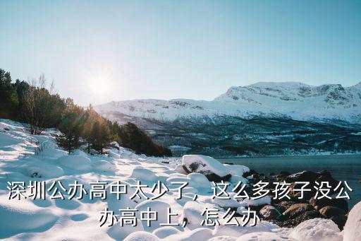深圳公辦高中太少了，這么多孩子沒公辦高中上，怎么辦