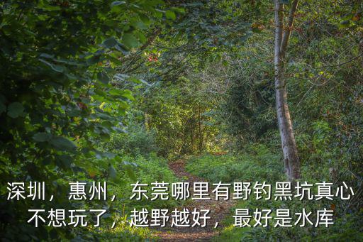 深圳，惠州，東莞哪里有野釣黑坑真心不想玩了，越野越好，最好是水庫