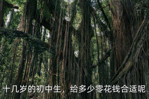 十幾歲的初中生，給多少零花錢合適呢