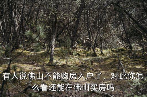 佛山買房要多少分入戶口,遷入佛山戶口容易嗎