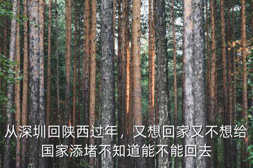 從深圳回陜西過年，又想回家又不想給國家添堵不知道能不能回去