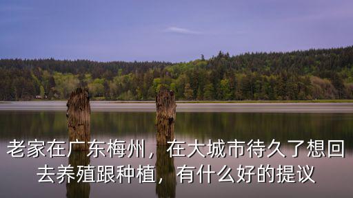 老家在廣東梅州，在大城市待久了想回去養(yǎng)殖跟種植，有什么好的提議