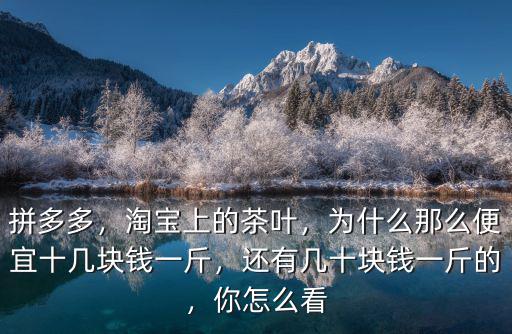 廣東萬粒陳茶一斤多少錢,你愿意花多少錢買一斤茶葉