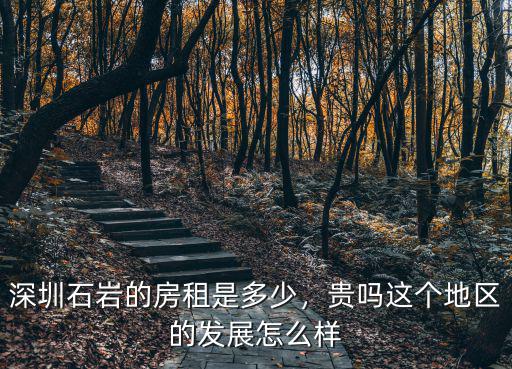 深圳石巖的房租是多少，貴嗎這個地區(qū)的發(fā)展怎么樣