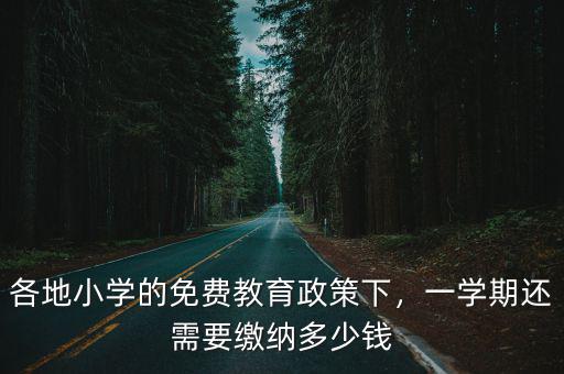 深圳現在小學要多少錢,在深圳上民辦小學