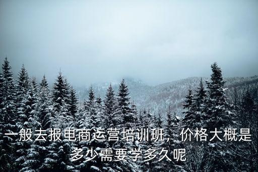一般去報電商運營培訓班，價格大概是多少需要學多久呢