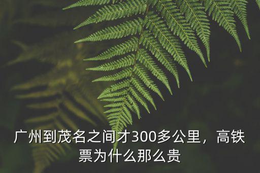 廣州去湛江高速鐵路茂名段怎么走,廣東湛江茂名到玉林