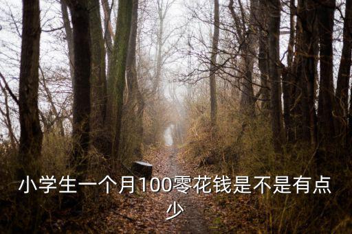 小學(xué)生一個月100零花錢是不是有點少