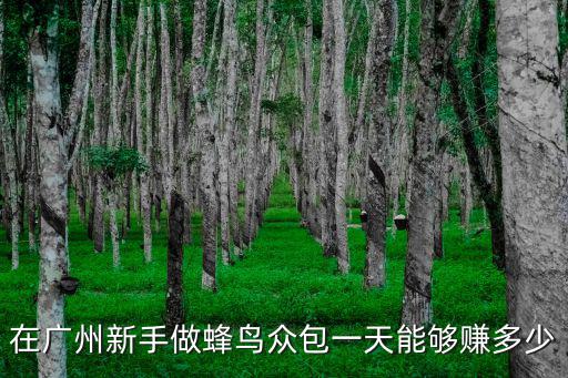 在廣州新手做蜂鳥眾包一天能夠賺多少