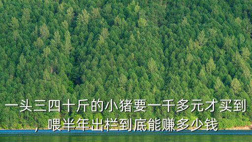 一頭三四十斤的小豬要一千多元才買到，喂半年出欄到底能賺多少錢