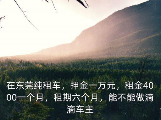 東莞租車要多少錢,在東莞純租車