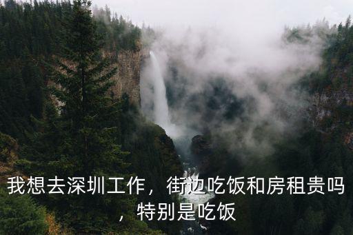 我想去深圳工作，街邊吃飯和房租貴嗎，特別是吃飯