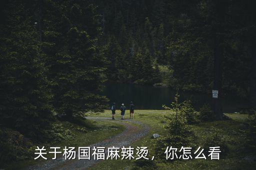 關于楊國福麻辣燙，你怎么看