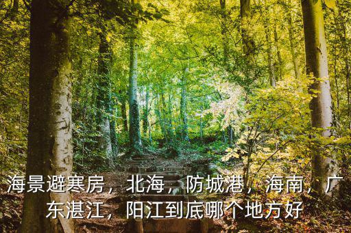 海景避寒房，北海，防城港，海南，廣東湛江，陽江到底哪個地方好
