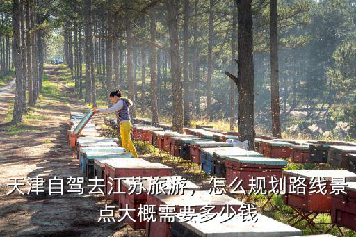 徐州到天津自駕需要多少錢,天津自駕去江蘇旅游