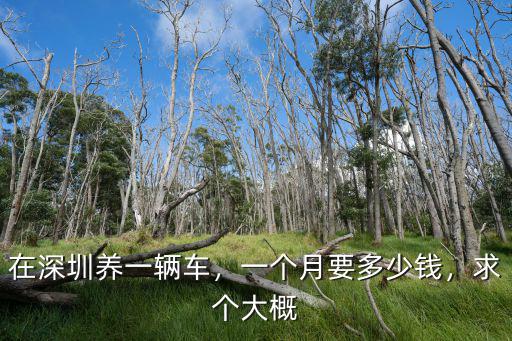 在深圳做車工一個月多少錢,你們車工工作多少錢一個月