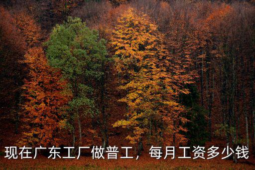 現在廣東工廠做普工，每月工資多少錢
