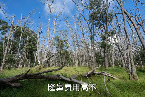深圳隆鼻大概多少費用案例,自體脂肪隆鼻一般費用多少