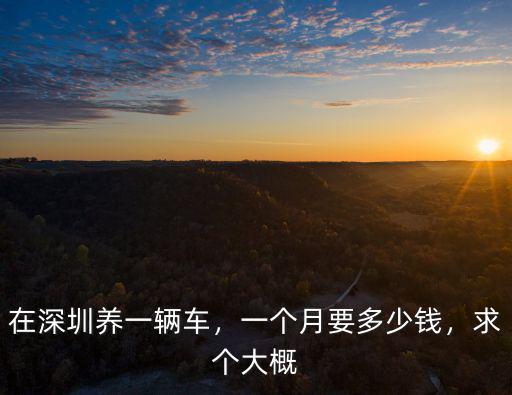 在深圳養(yǎng)一輛車，一個月要多少錢，求個大概