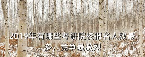 2019年江蘇考研究生有多少人,報(bào)考清華大學(xué)的考生有多少人