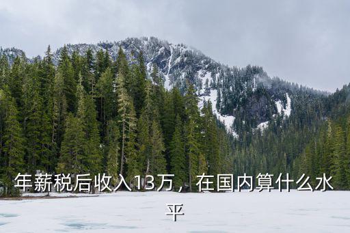 年薪稅后收入13萬，在國內算什么水平