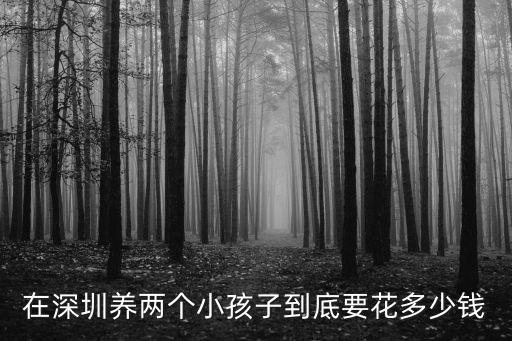在深圳養兩個小孩子到底要花多少錢