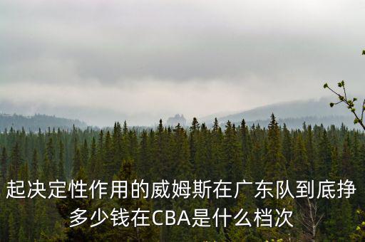 起決定性作用的威姆斯在廣東隊到底掙多少錢在CBA是什么檔次
