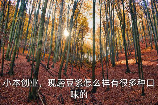 小本創業，現磨豆漿怎么樣有很多種口味的