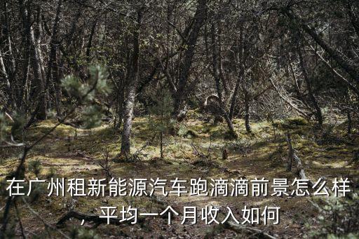 在廣州租新能源汽車跑滴滴前景怎么樣，平均一個月收入如何