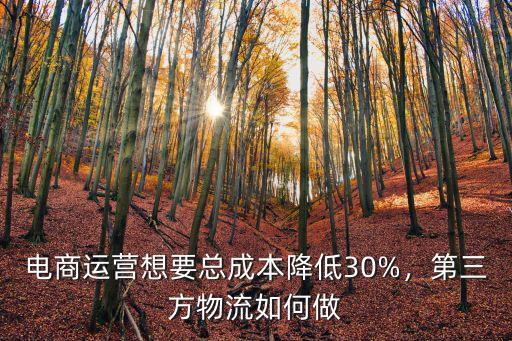 河源市電商物流運營多少錢,現(xiàn)在電商運營多少錢一個月