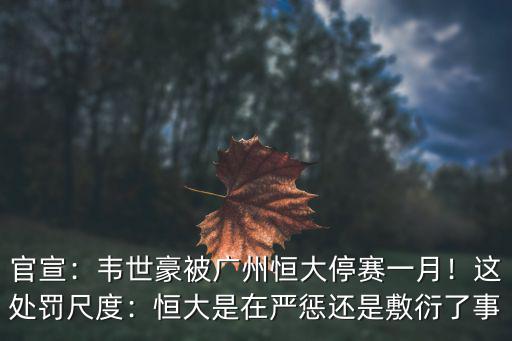 韋世豪在廣州恒大有多少錢,韋世豪年收入多少