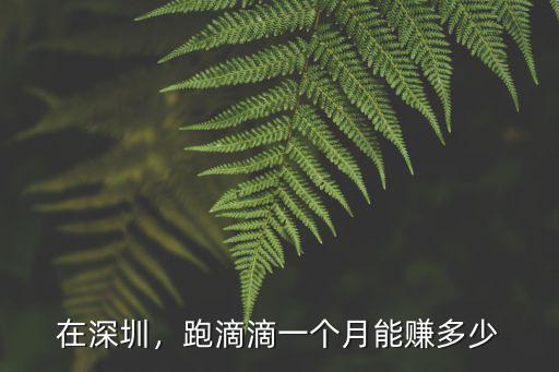 在深圳，跑滴滴一個(gè)月能賺多少