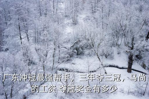廣東奪冠獎金多少錢,廣東沖冠最強幫手