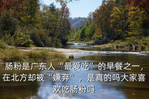 腸粉是廣東人“最愛吃”的早餐之一，在北方卻被“嫌棄”，是真的嗎大家喜歡吃腸粉嗎