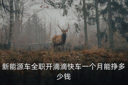 珠海滴滴全職一天能跑多少錢,全職跑滴滴一年能掙多少錢