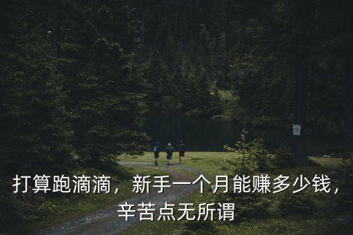 打算跑滴滴，新手一個月能賺多少錢，辛苦點無所謂