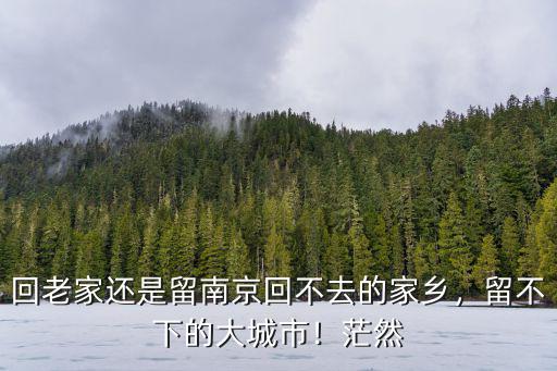 南京還留多少人,南京為什么還叫京