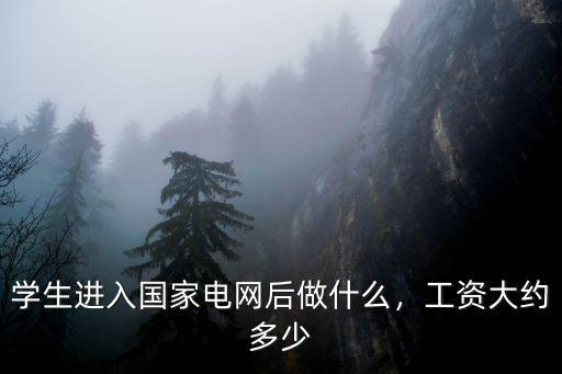 學生進入國家電網后做什么，工資大約多少