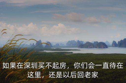 如果在深圳買不起房，你們會一直待在這里，還是以后回老家