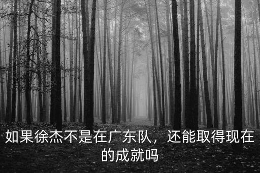 如果徐杰不是在廣東隊，還能取得現在的成就嗎