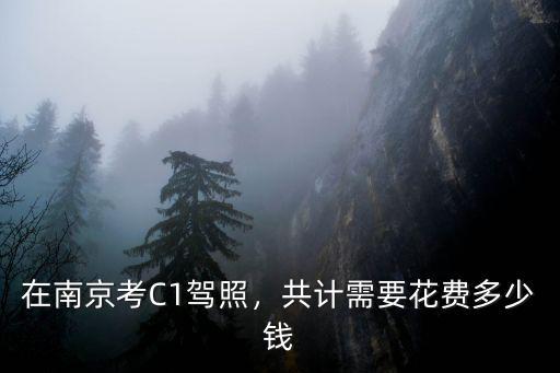 在南京考C1駕照，共計(jì)需要花費(fèi)多少錢