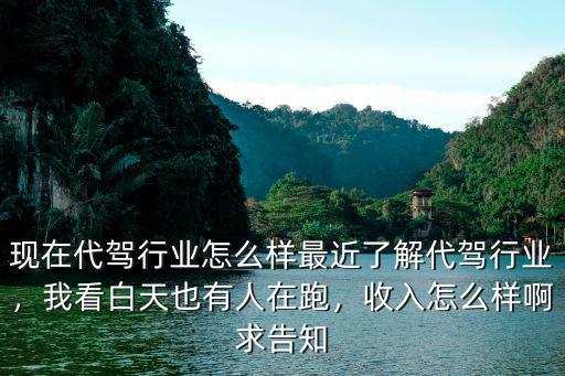 現(xiàn)在代駕行業(yè)怎么樣最近了解代駕行業(yè)，我看白天也有人在跑，收入怎么樣啊求告知