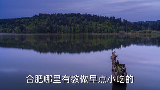 合肥哪里有教做早點(diǎn)小吃的